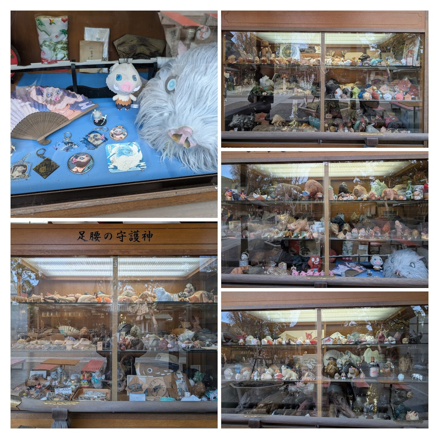 各種野豬的小東西