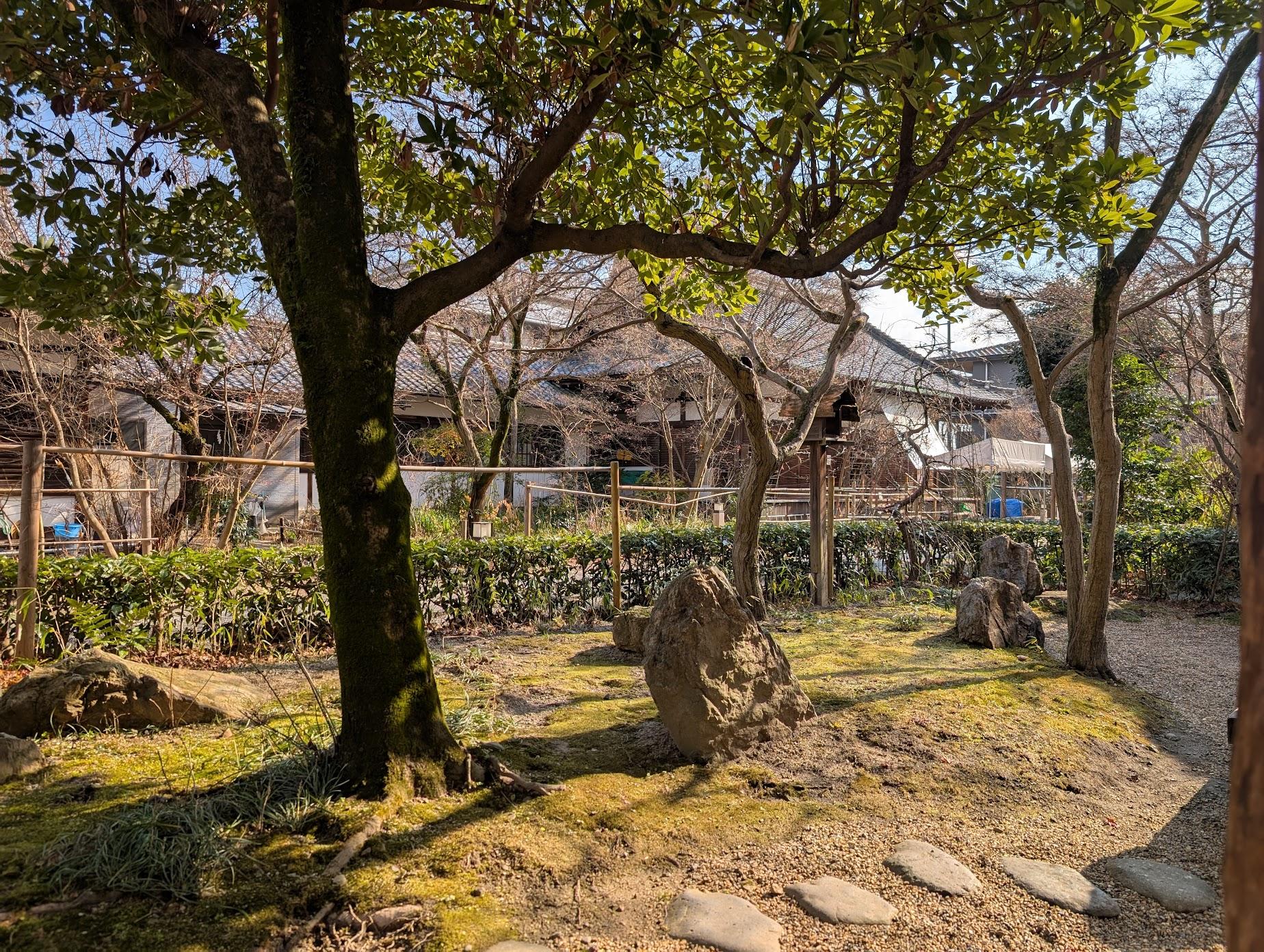 曬著太陽喝咖啡