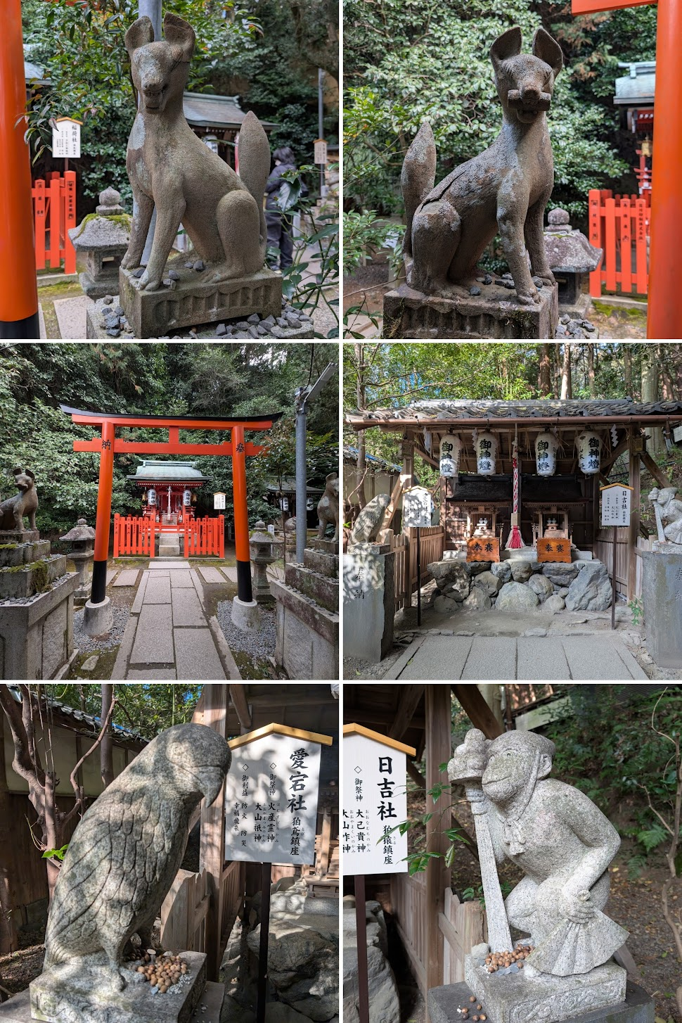 狛狐、狛猿與狛鳶