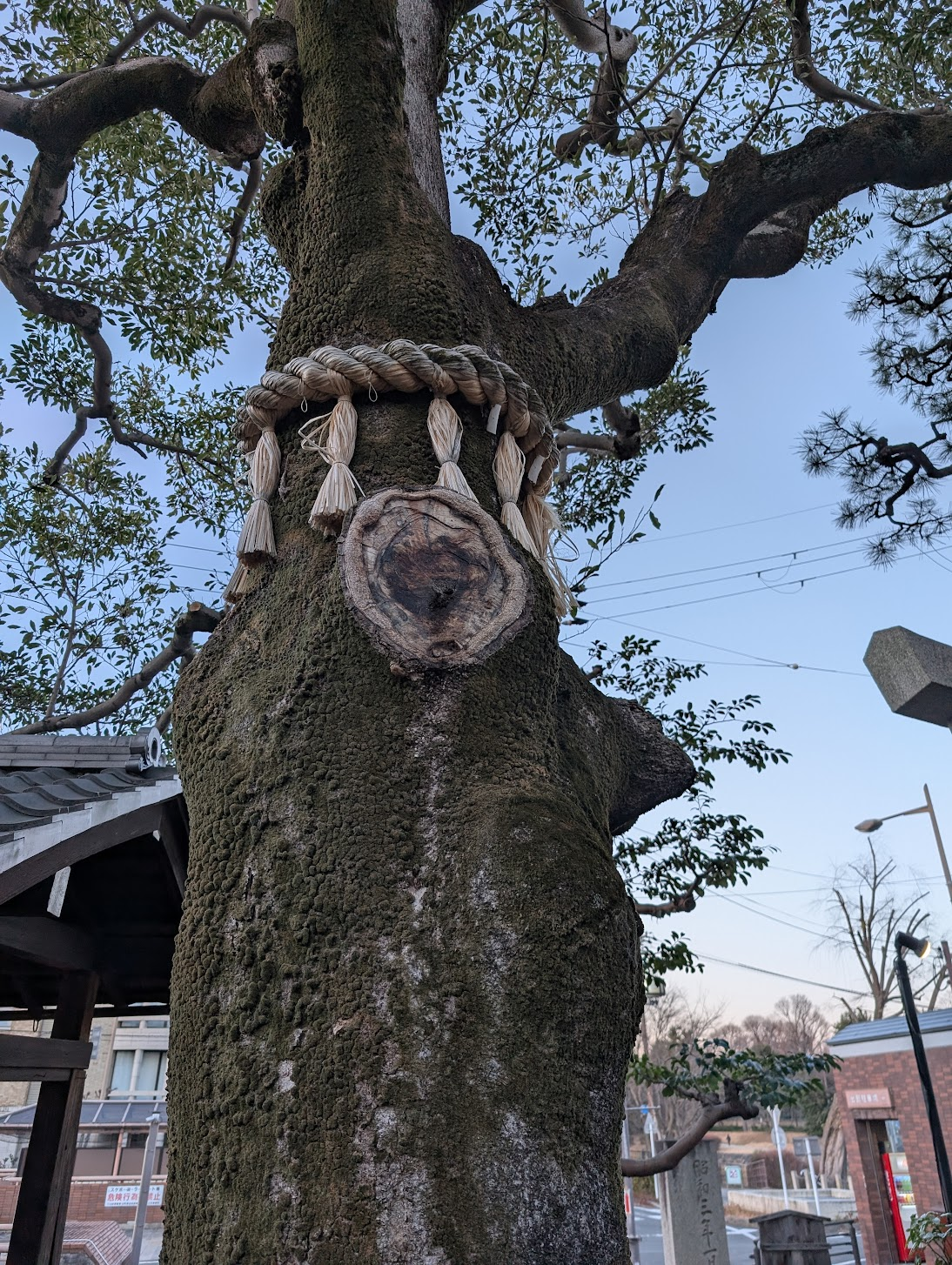 愛心形狀的痕跡