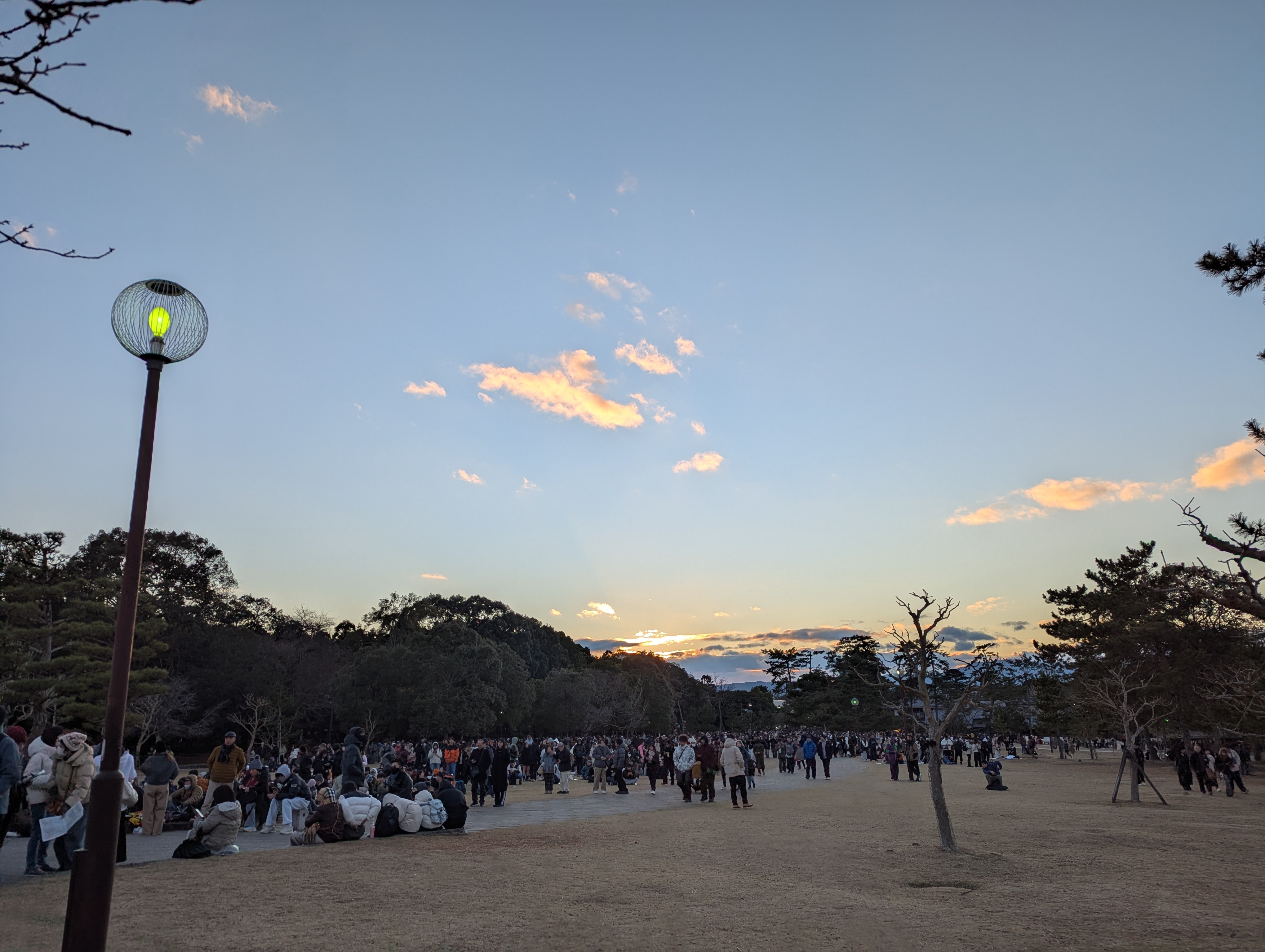 奈良公園的人群