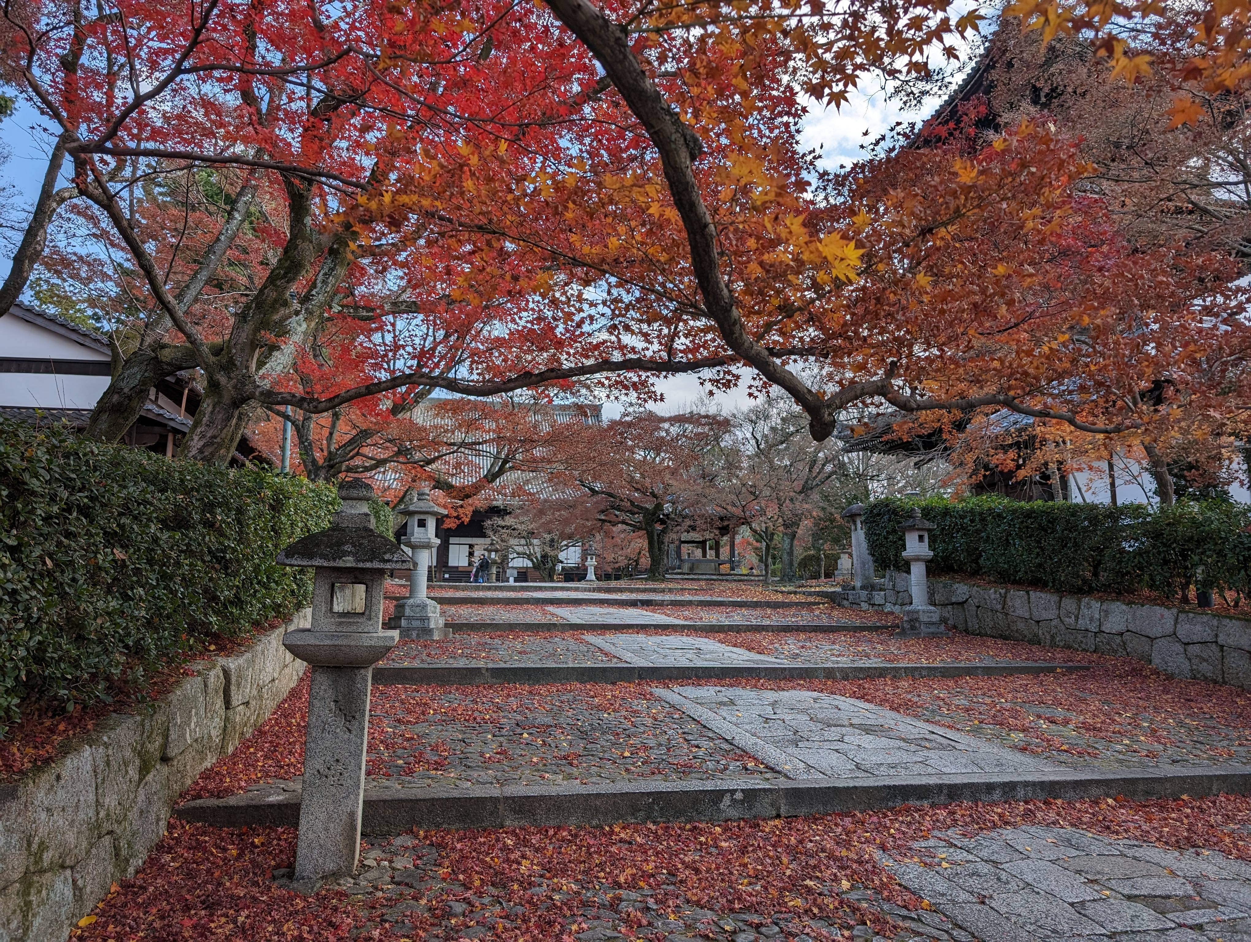 本堂、三重塔與紅葉