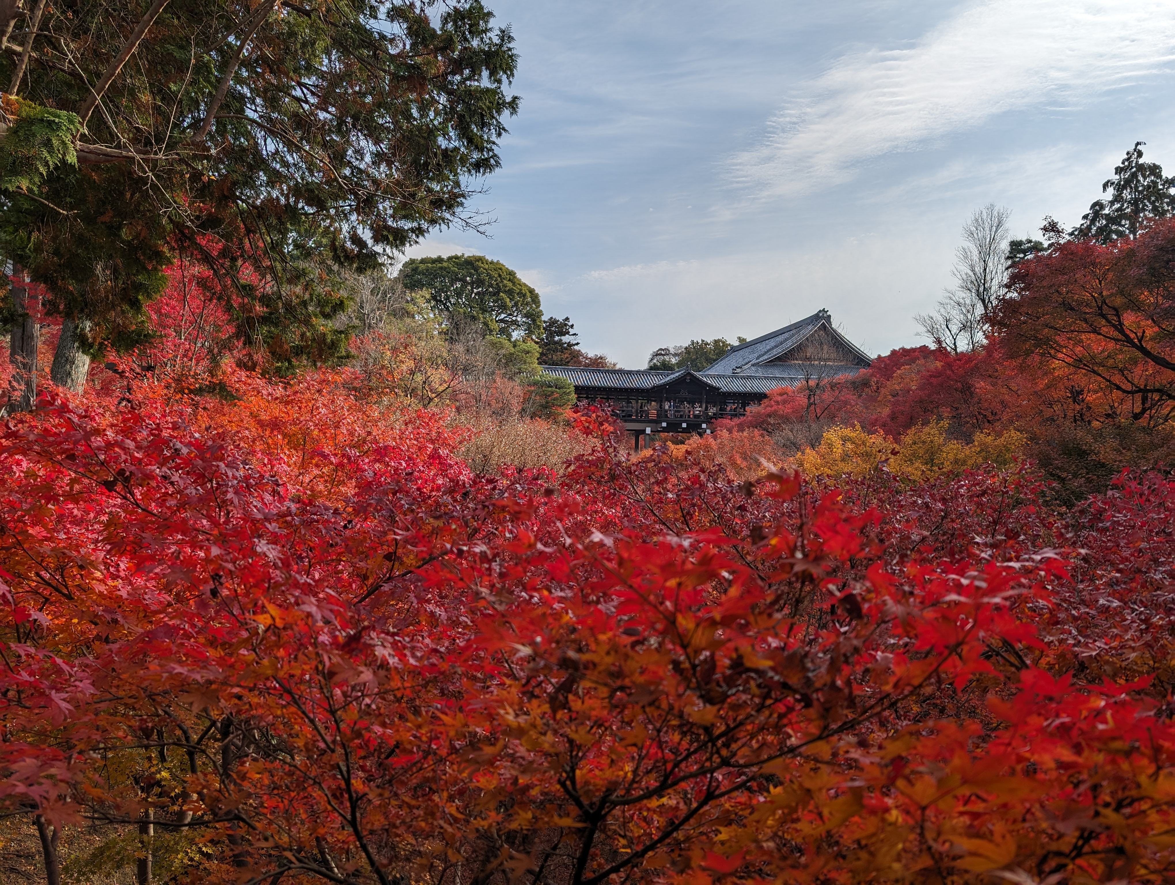 臥雲橋拍通天橋 again
