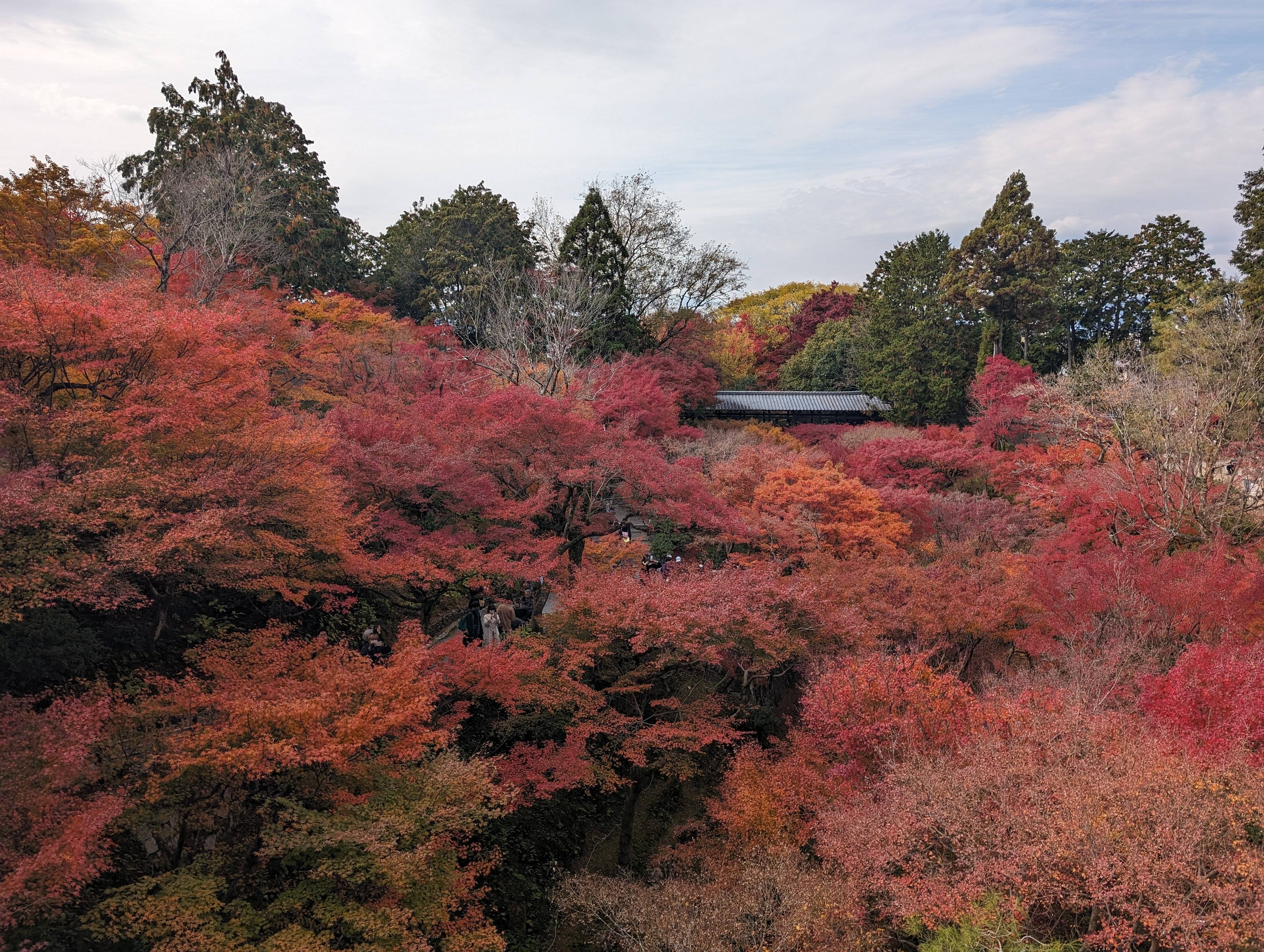 通天橋拍臥雲橋 again