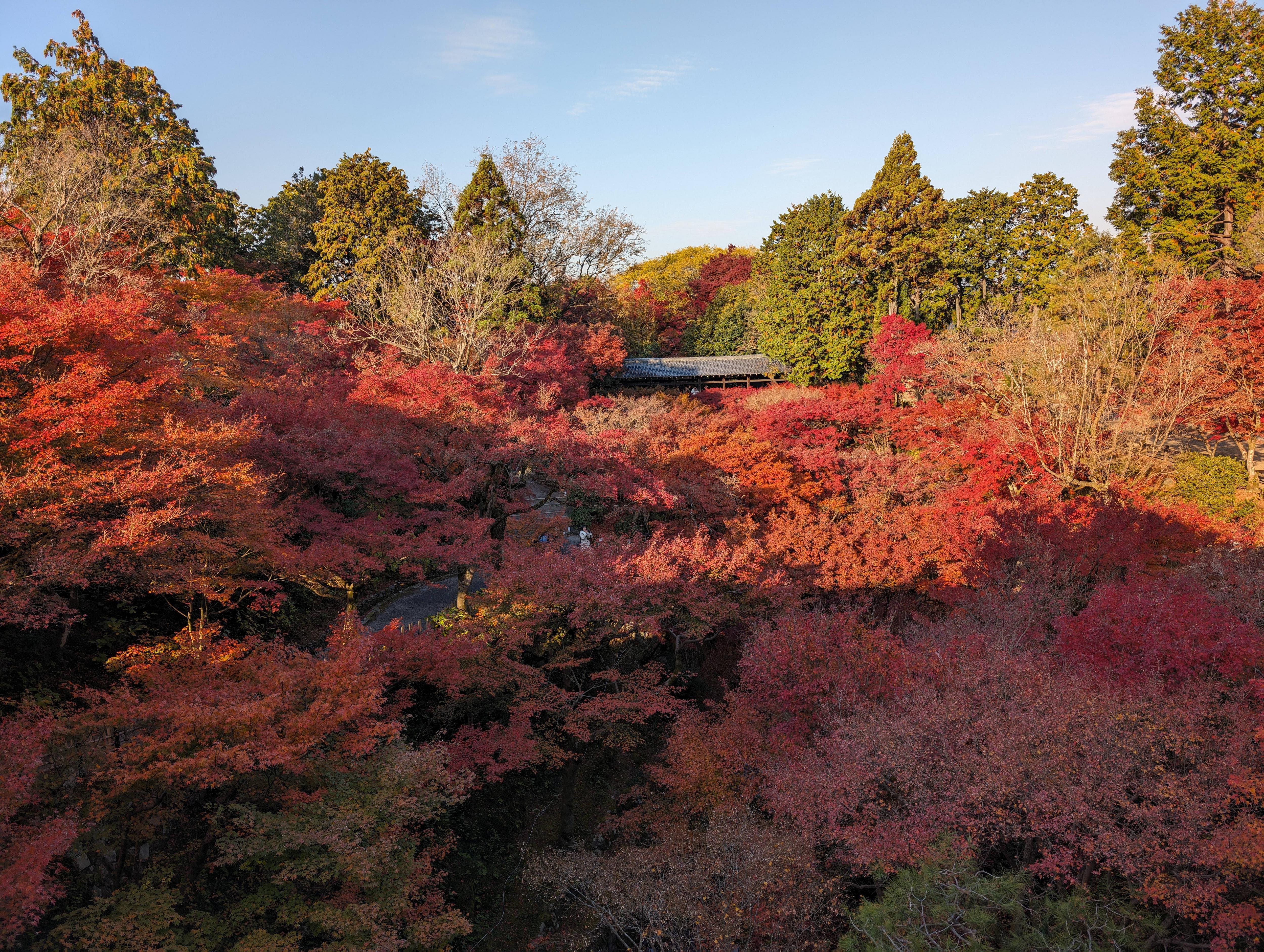 通天橋上拍臥雲橋