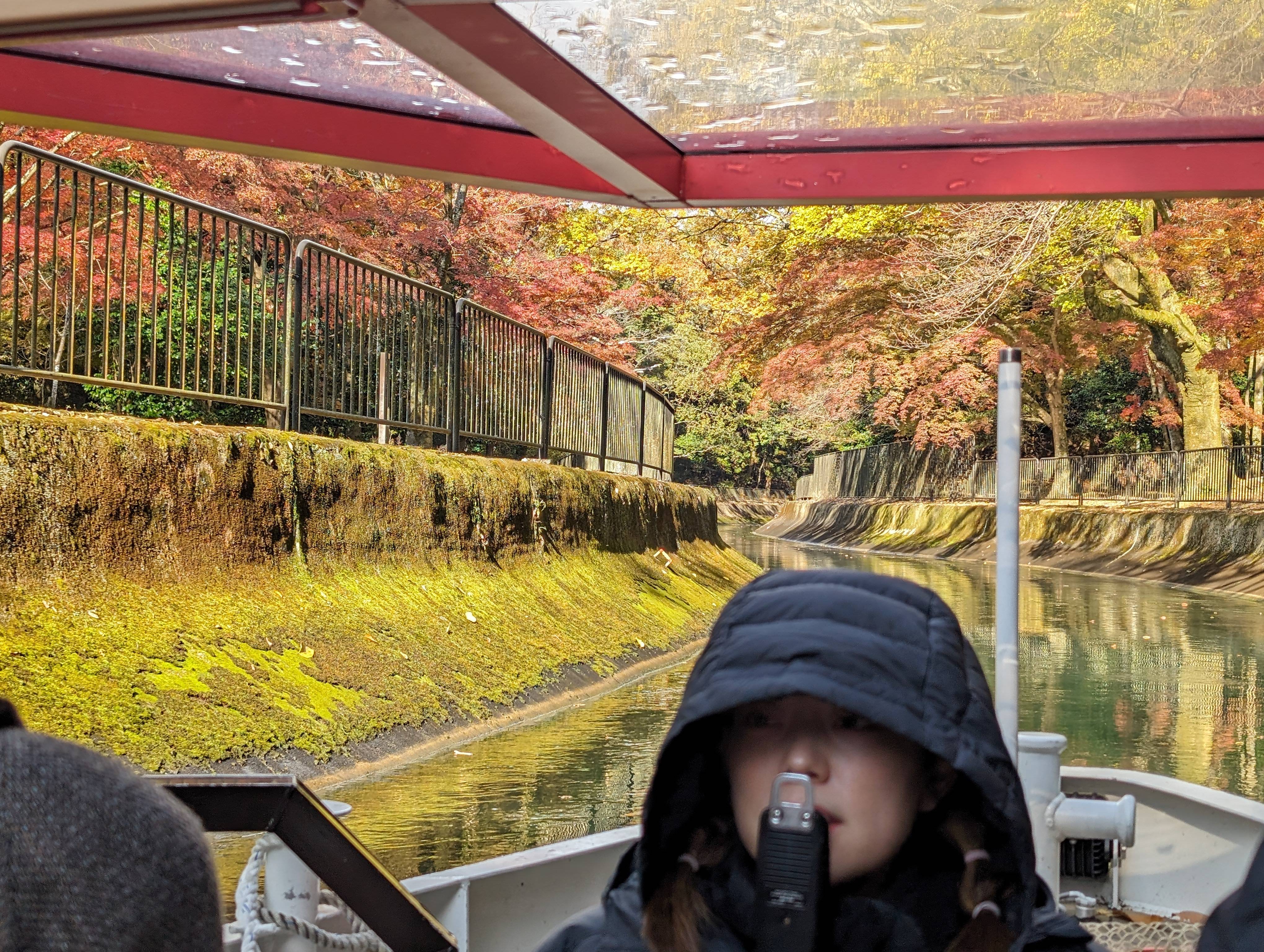 疏水道旁的紅葉與船上導遊