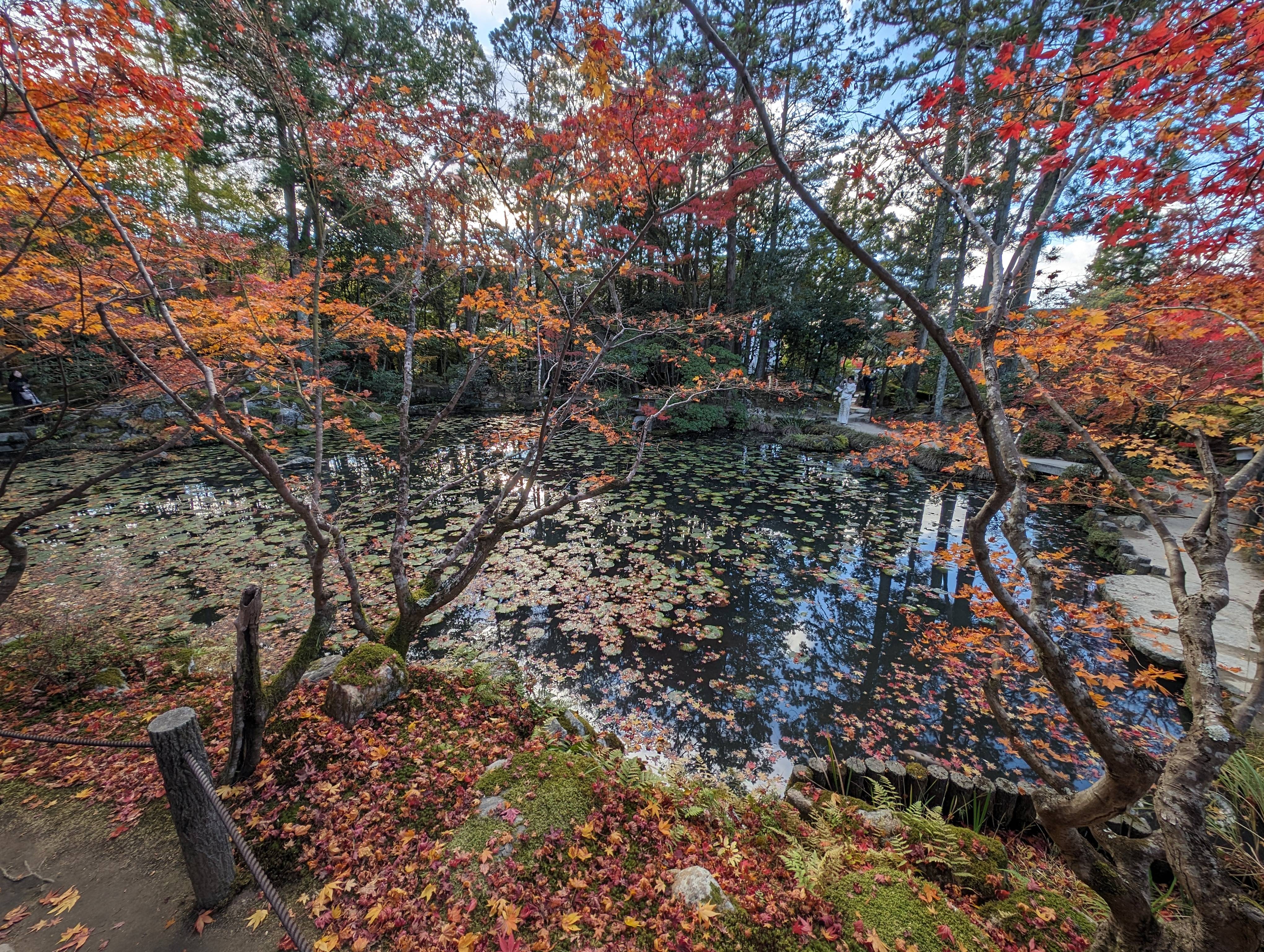 池泉迴遊式庭園