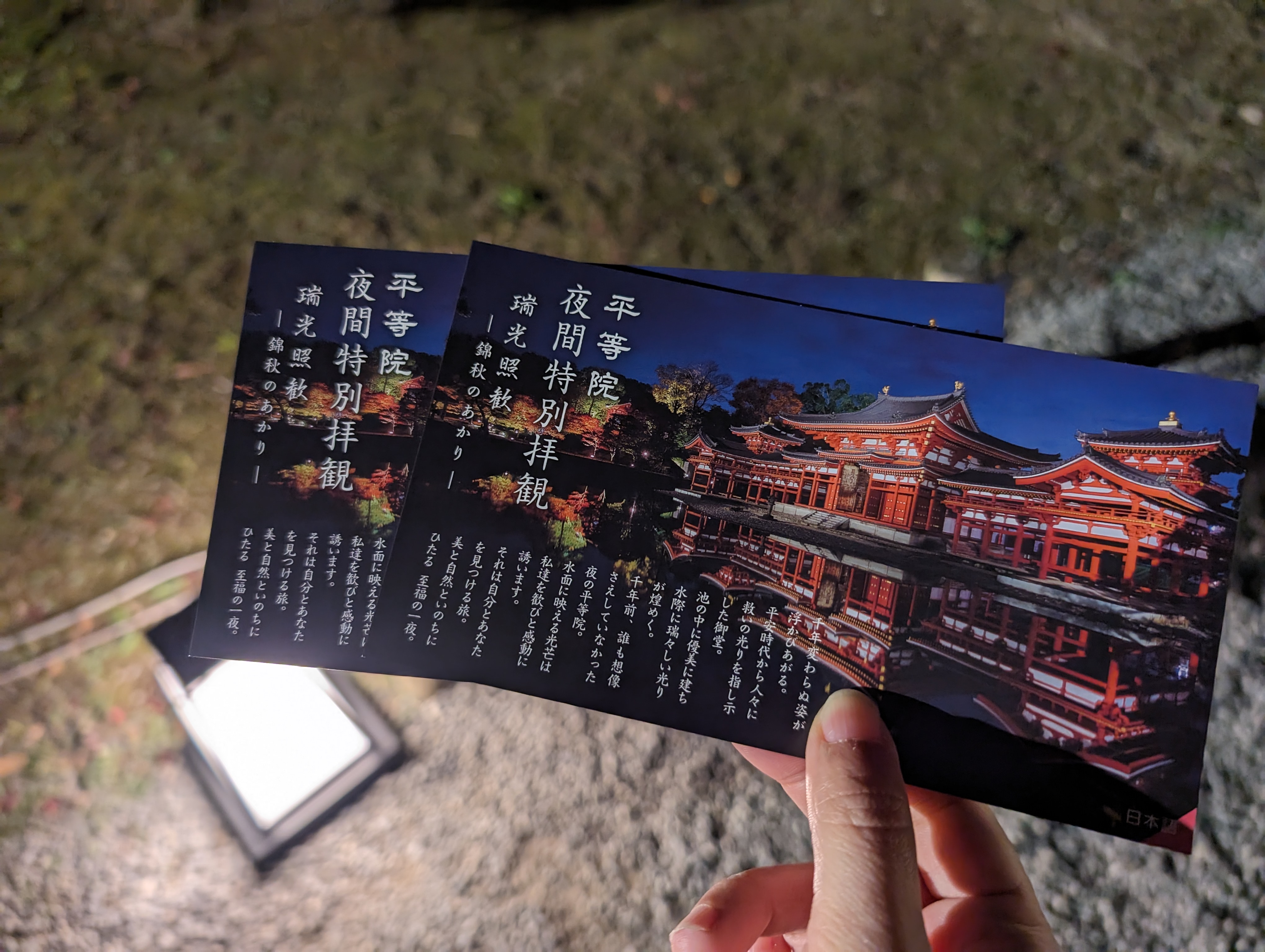 平等院夜間拜觀門票