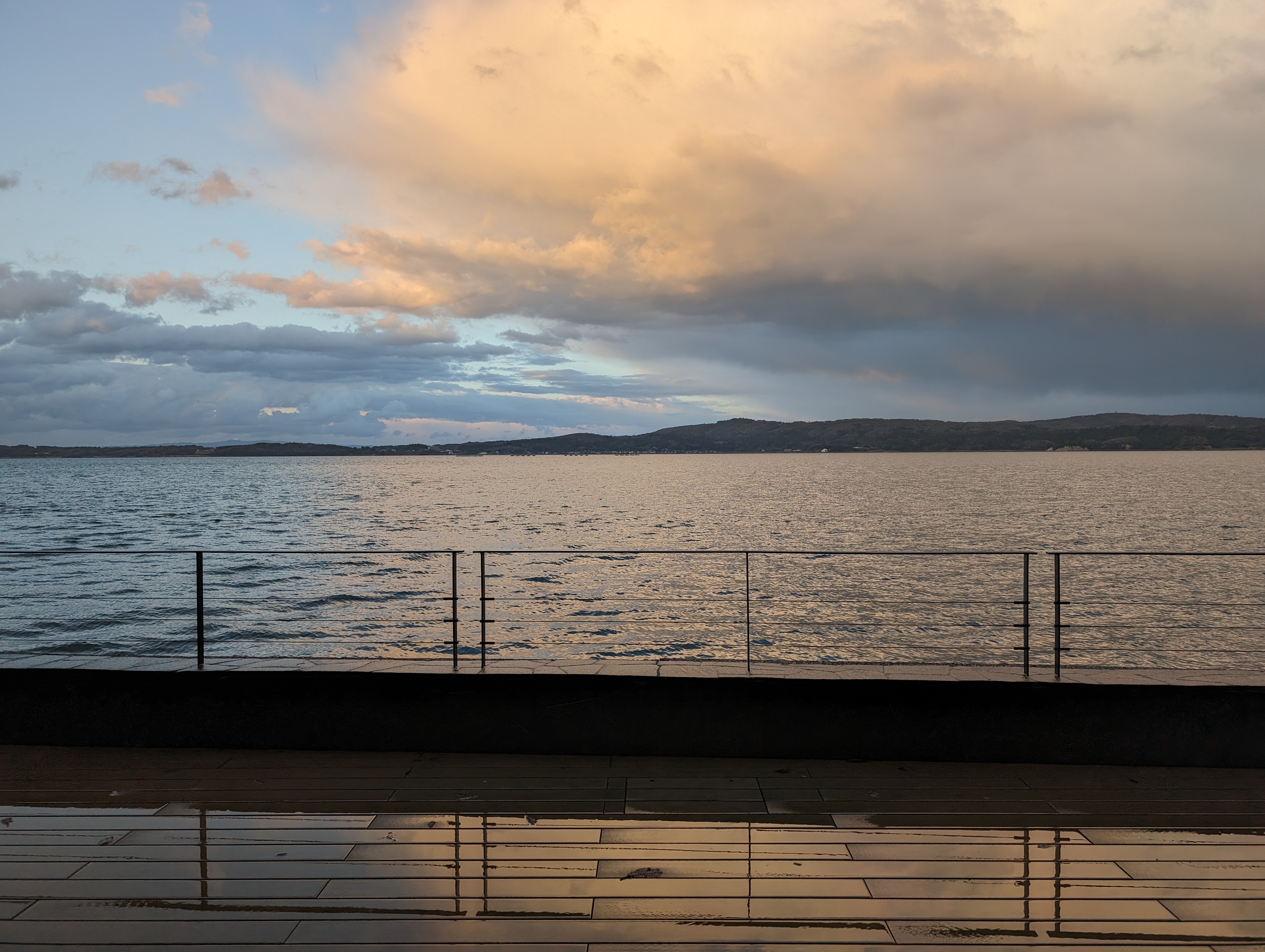 一樓大廳外的窗景