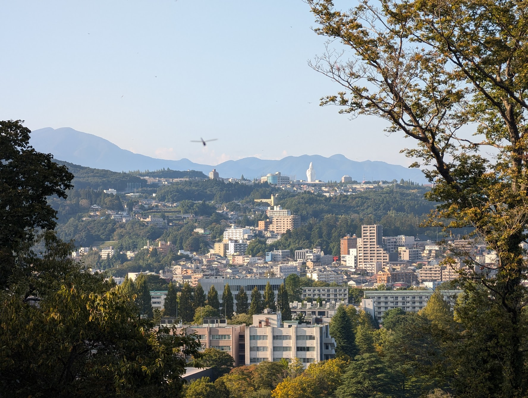 遠方的仙台大觀音