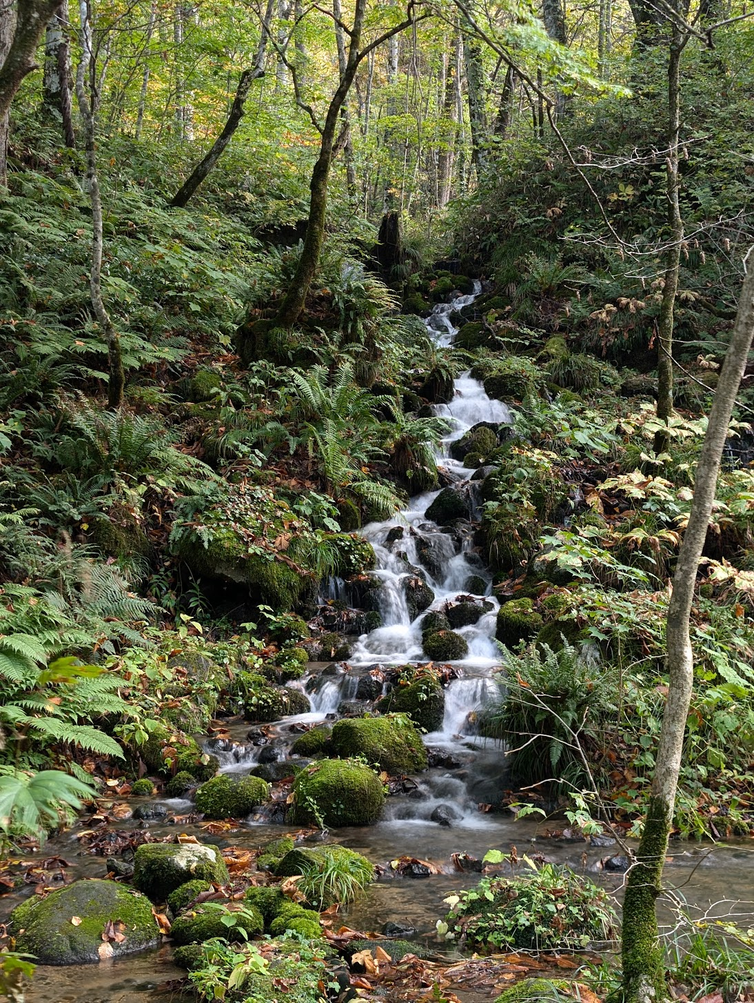 下馬門沢の流れ