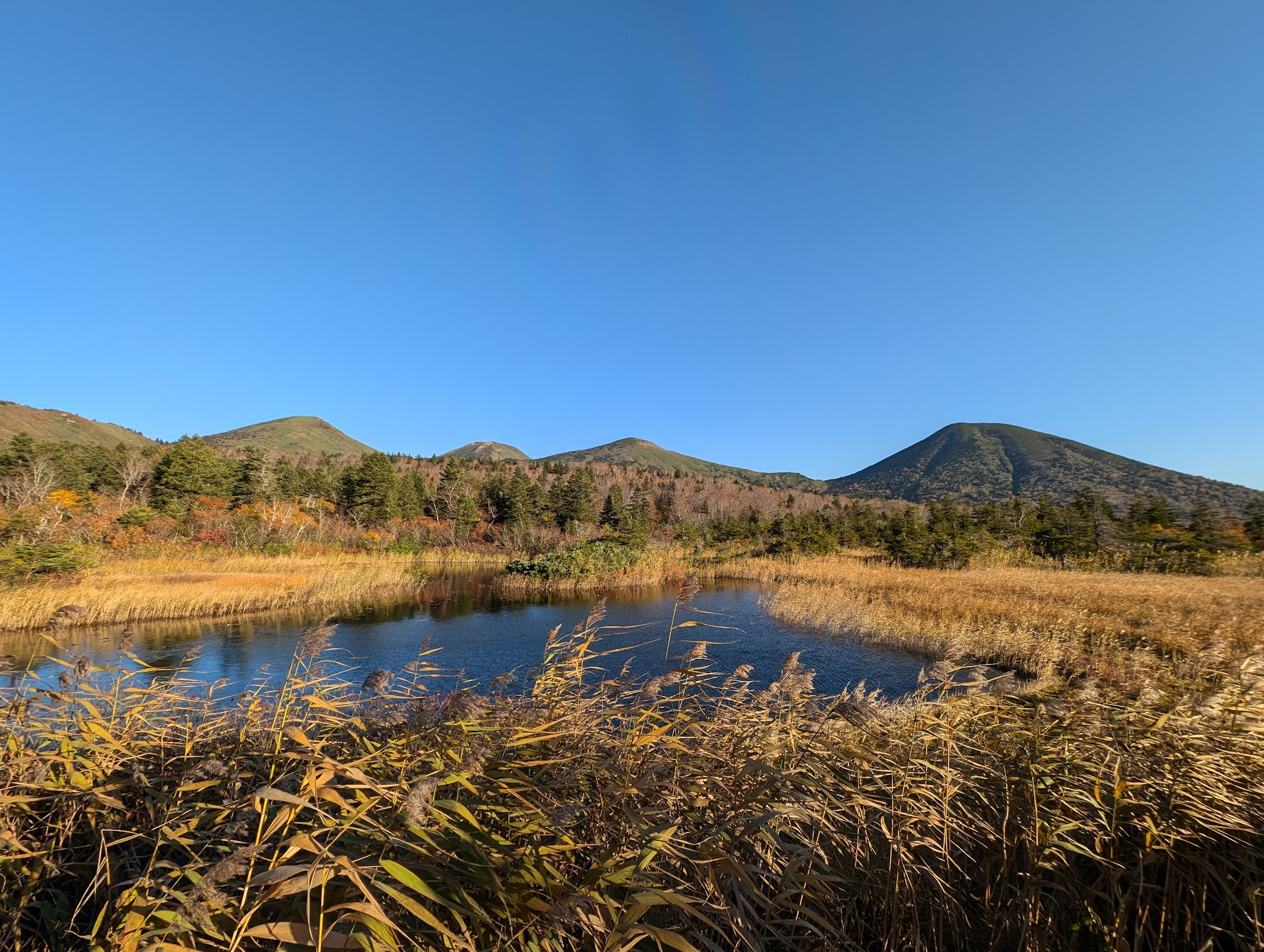 睡蓮沼與八甲田連峰